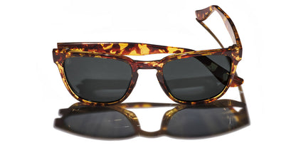 Kaenon Avalon Polarized Sunglasses Tokyo Tortoise